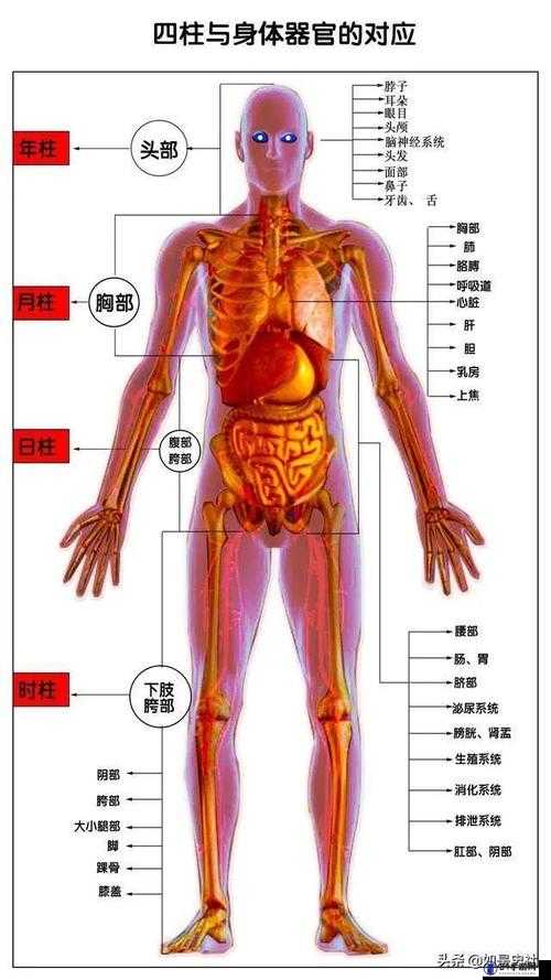 成品人和精品人的区别：深度解析其差异