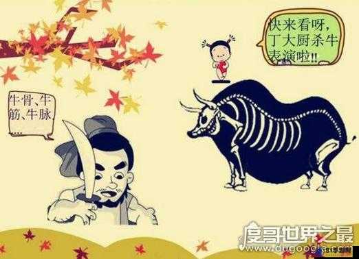 目无全牛：庖丁解牛，游刃有余