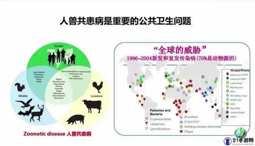 人与畜禽共性关系的重要性：探究动物与人类的共通之处