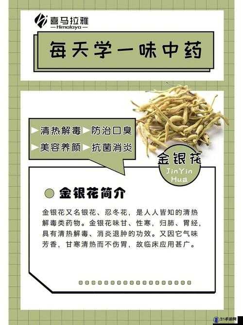 双管齐下TXL金银花怎么使用：功效与禁忌